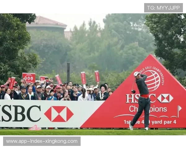 网球赛事多主办方协同机制推动赛事影响力倍增