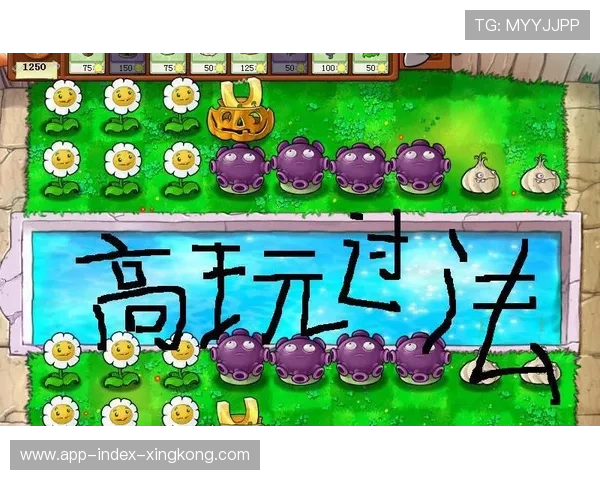 争夺激烈最后几轮，谁能笑到最后？，争夺激烈最后几轮,谁能笑到最后一句