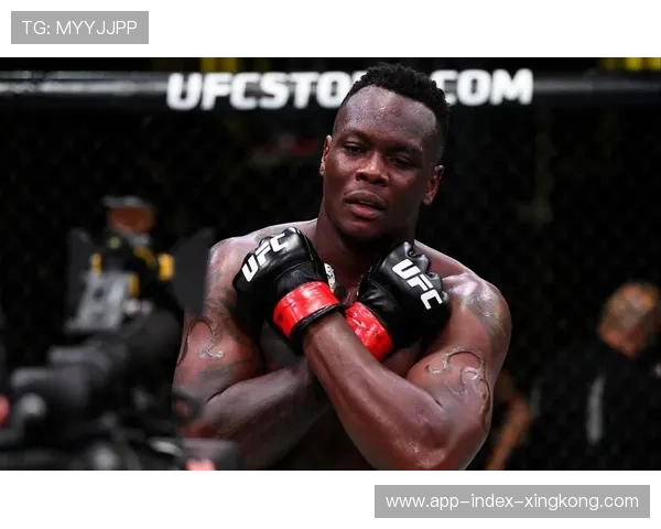 UFC组合拳直接终结战斗：揭秘格斗界的终极秒杀技