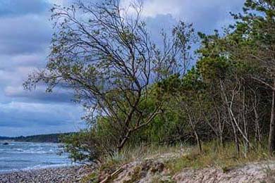 Aster关键战役精彩回顾