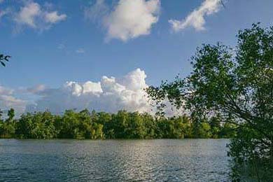 76人队攻防节奏掌控出色，76人进攻战术