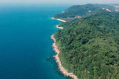 AI智能解说：未来赛场的全新玩法，未来杯ai挑战赛